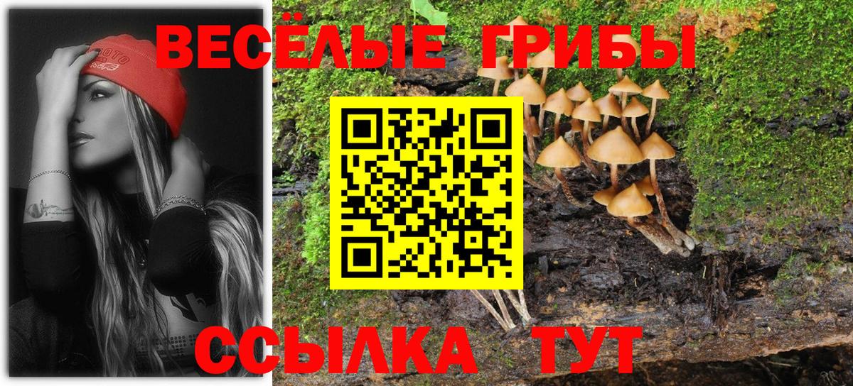 Зерноград  Галлюциногенные грибы ЛСД  Вход с VPN  Галлюциногенные грибы GOLDEN TEACHER 